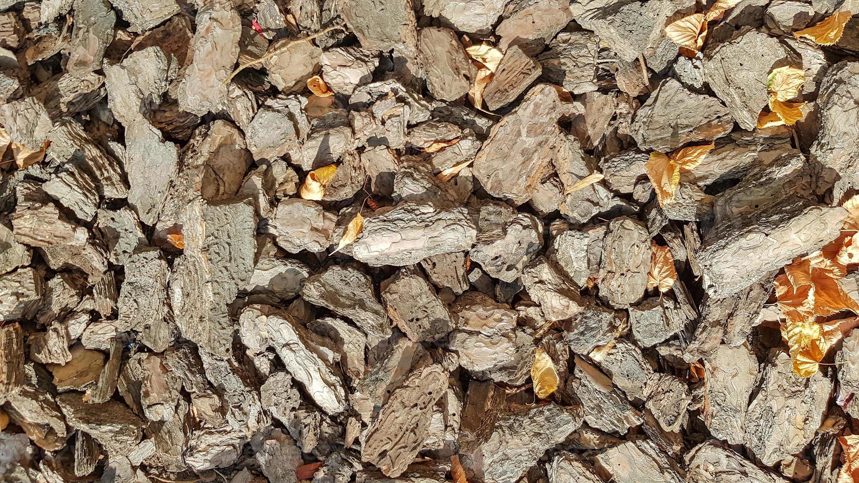 serradura de madeira para o jardim. textura de uma casca de árvore no chão. fundo de uma casca de árvore. casca decorativa, cobertura morta, cobertura morta. lascas de madeira decorativas. mulch natural de pinho castanho. foto