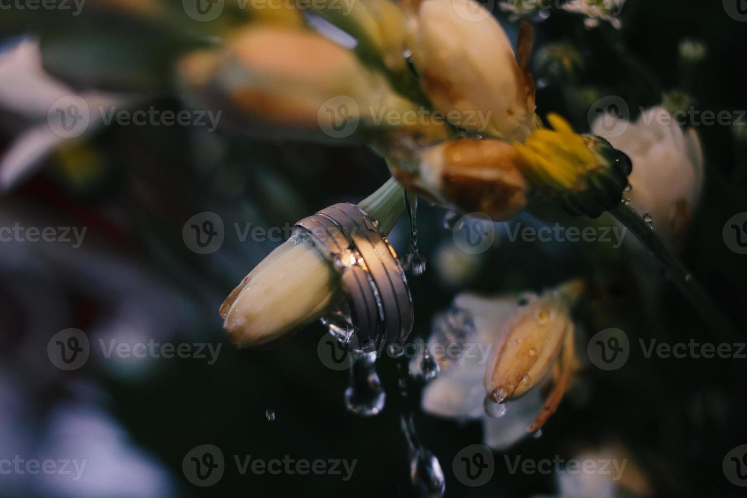 um par de alianças de casamento na flor foto