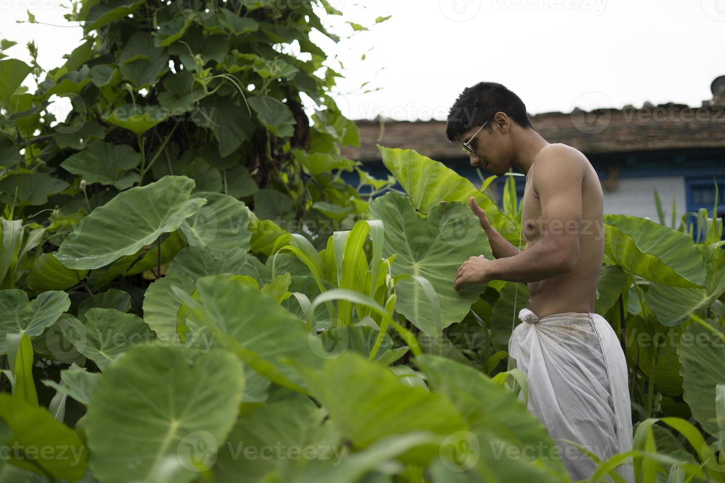 jovem indiano em forma, andando em um caminho ao lado de culturas no campo. um padre indiano andando enquanto usava dhoti branco. homem religioso indiano. foto