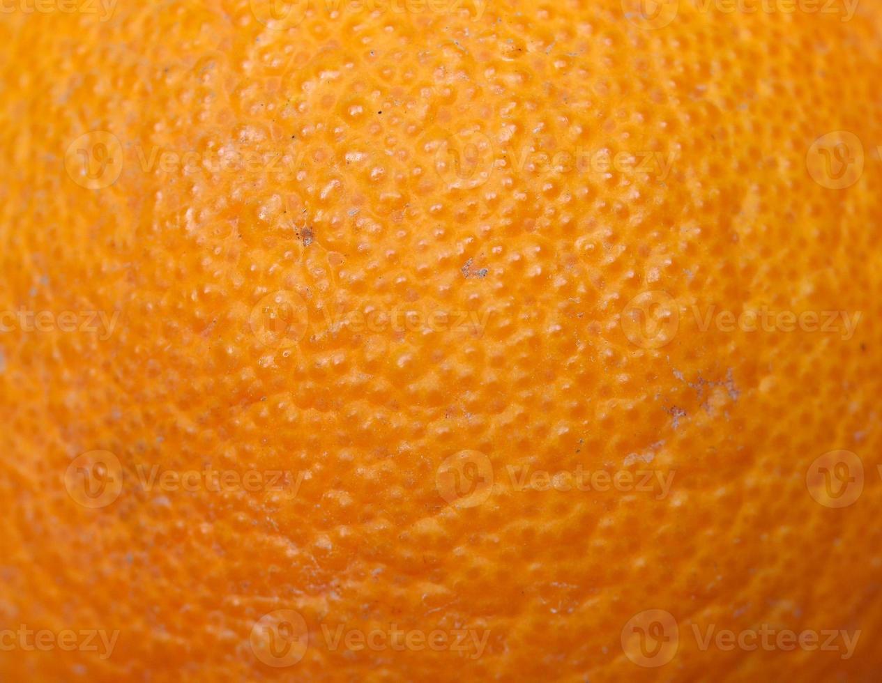 laranja fruta cítrica foto