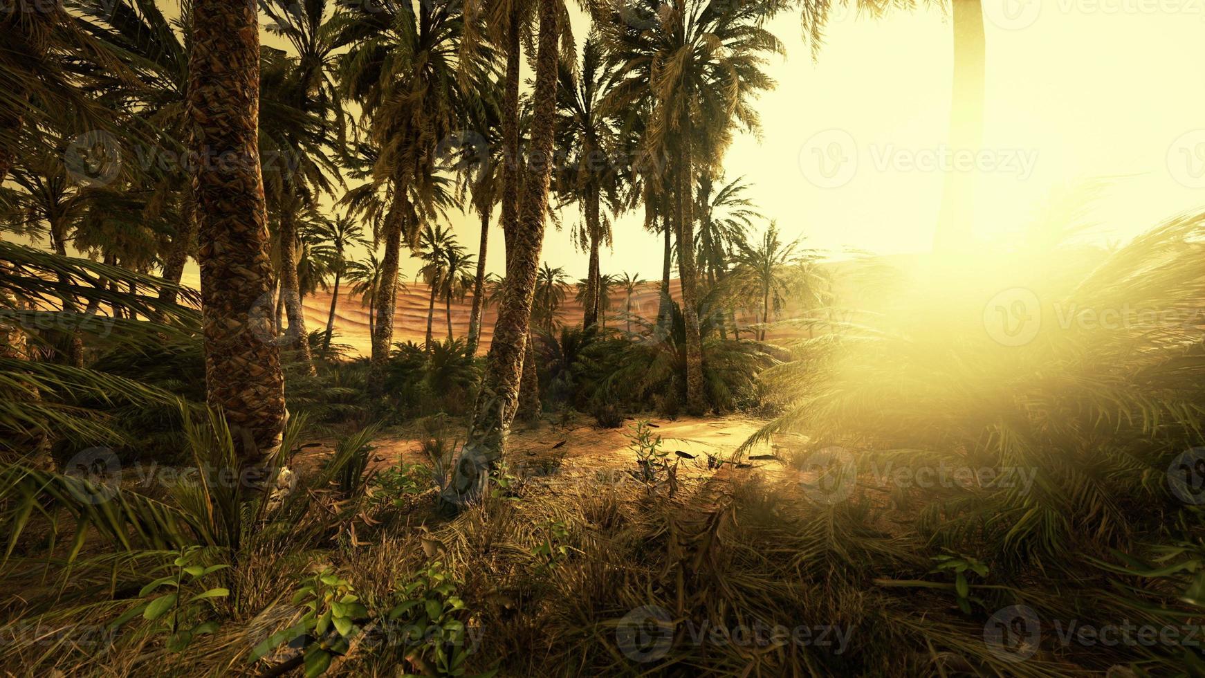 vale de savana e deserto de areia após o pôr do sol colorido foto