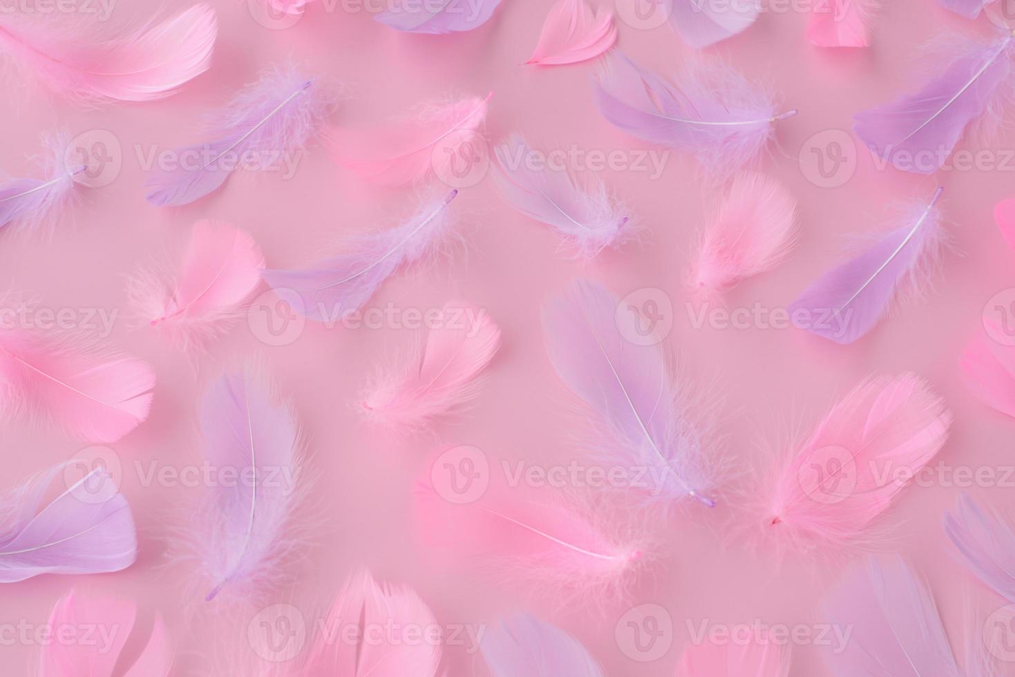 lindas penas roxas rosa suaves e penugem no fundo rosa. abstrato moderno festivo, amor, dia dos namorados, romântico, fundo de páscoa foto