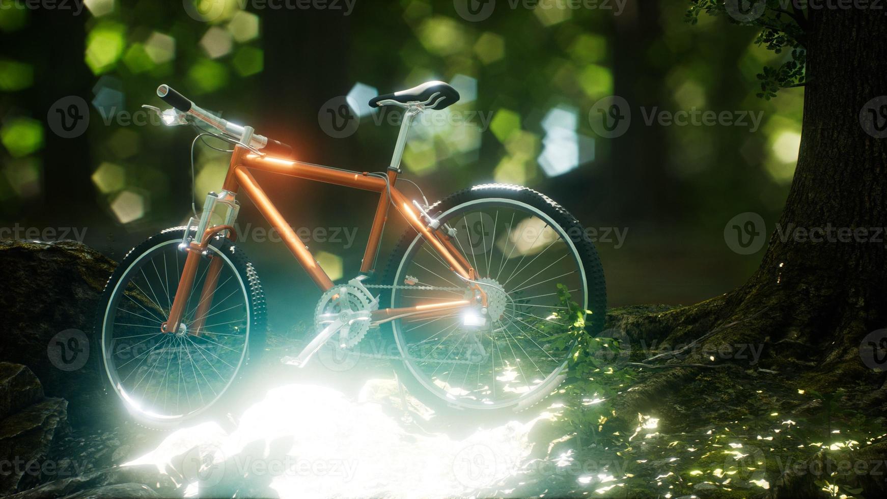 bicicleta de montanha no caminho da floresta foto