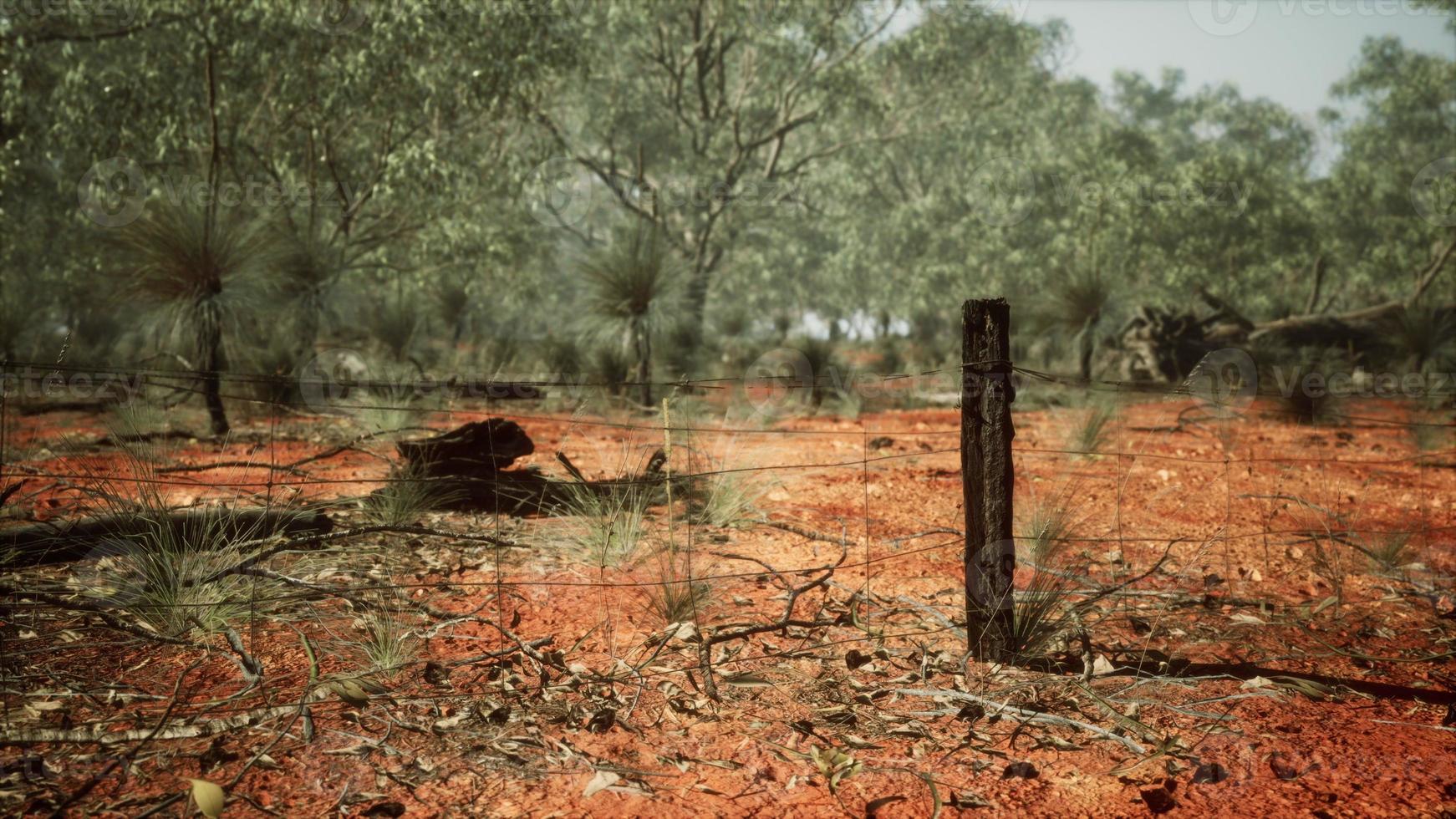 Cerca de limite de fazenda rural em mau estado e grama seca longa e morta foto