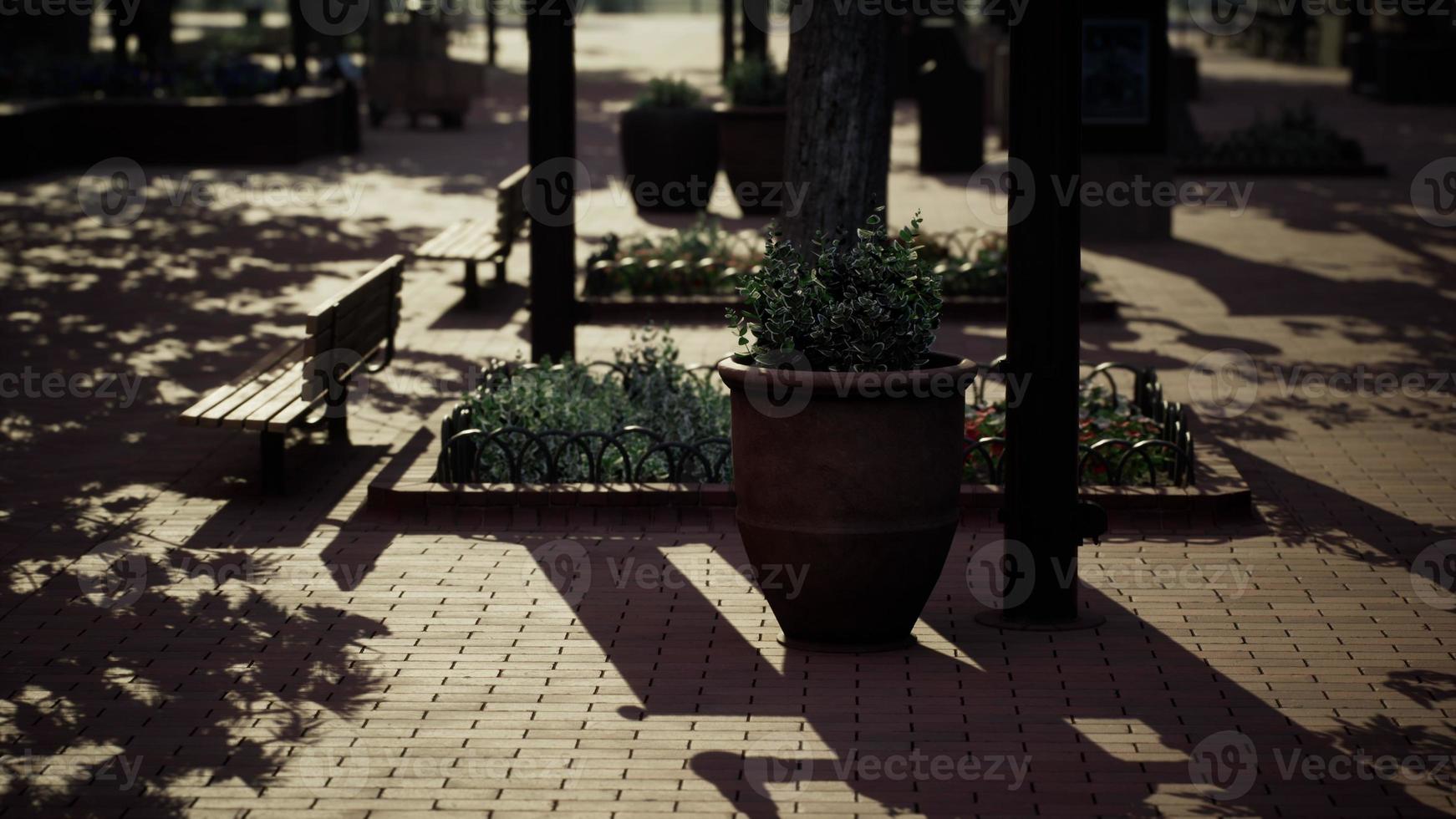 parque público vazio durante o toque de recolher causa da quarentena do vírus corona foto