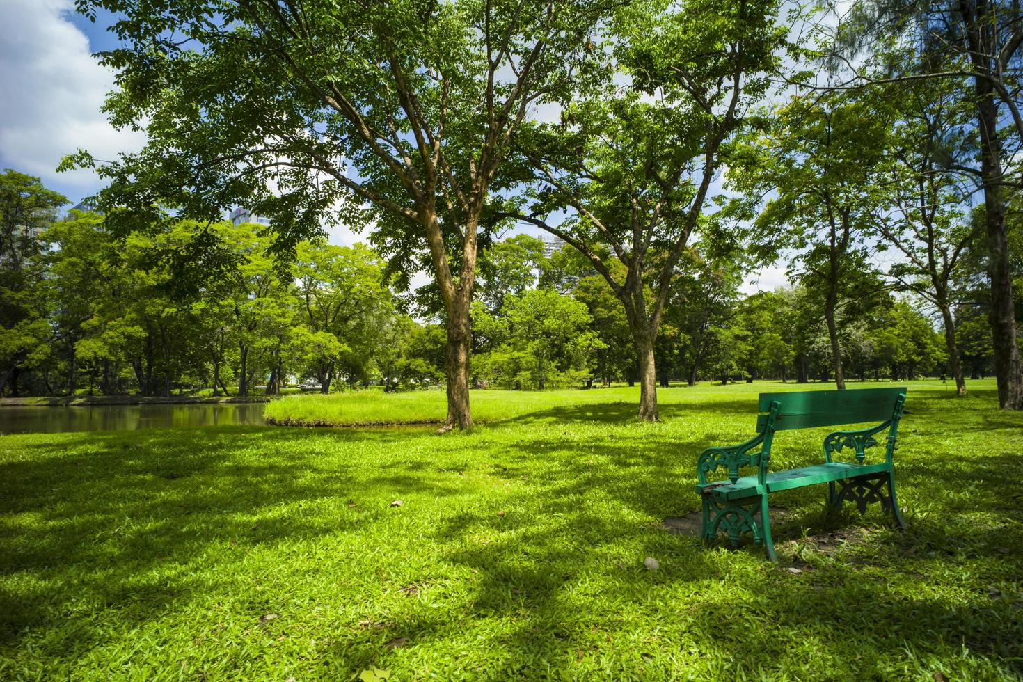 linda grama verde no parque foto