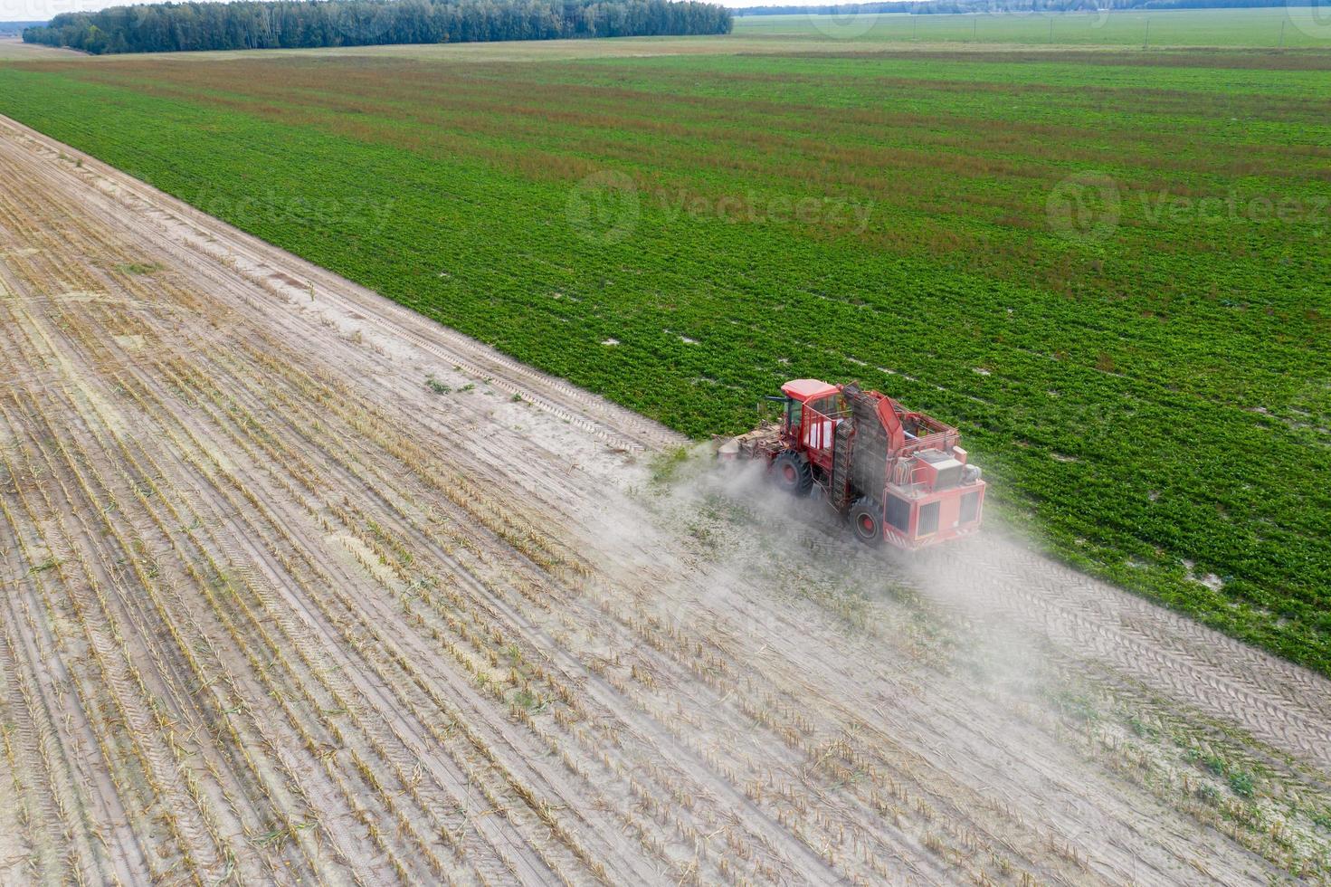 colheitadeira vermelha remove beterraba da vista superior do campo. foto