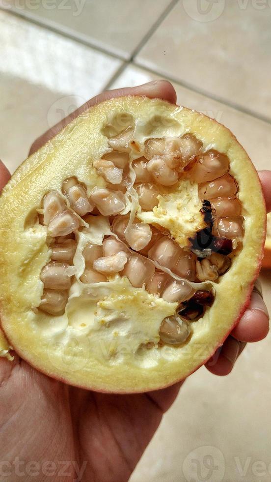 sementes de romã são claras e brancas, contêm antioxidantes ricos e outros minerais foto