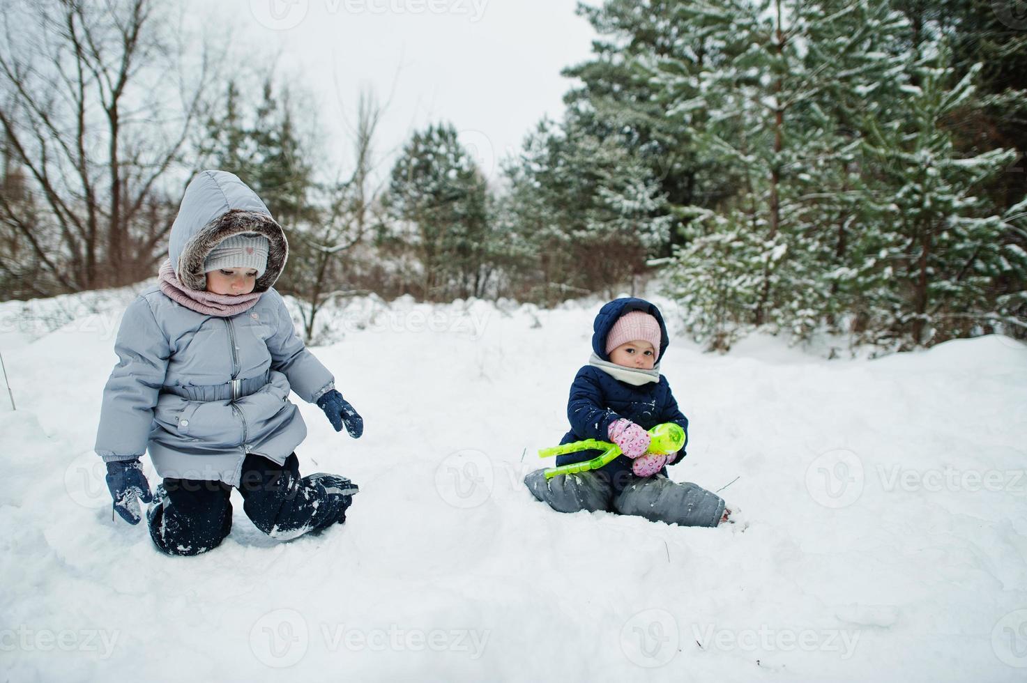 duas irmãs meninas na natureza do inverno. ao ar livre na neve. foto