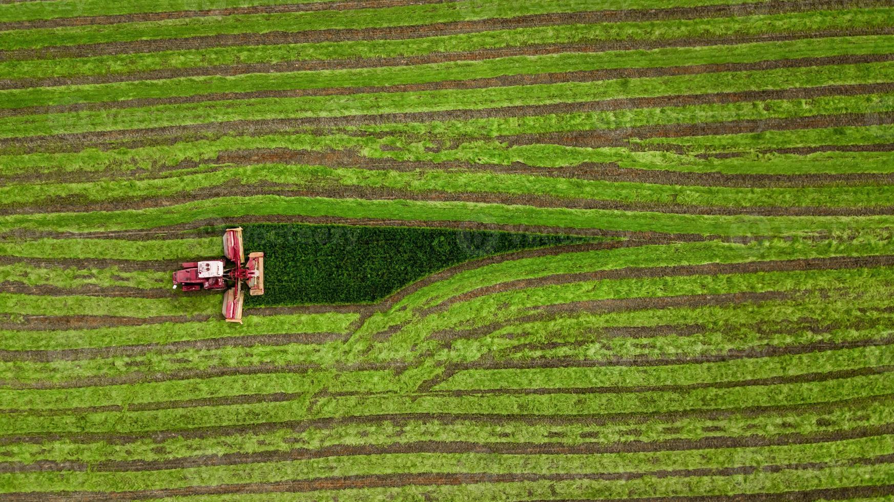 trator corta a grama em uma vista aérea de campo verde foto