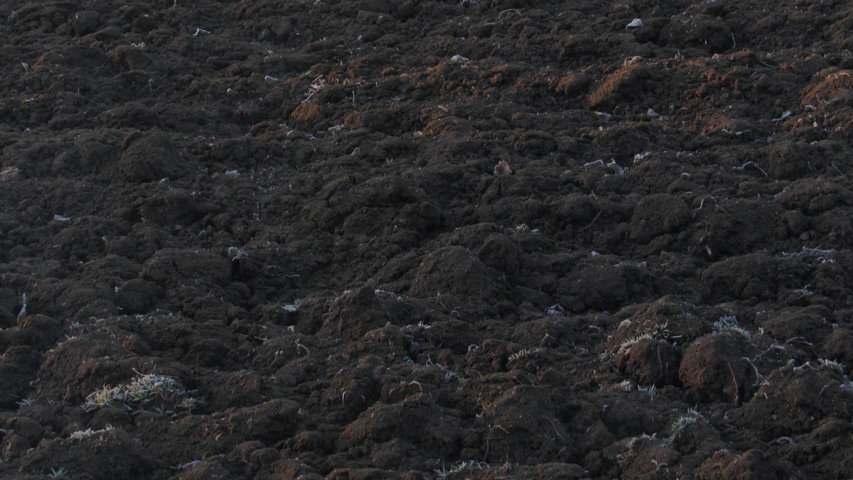 solo arado. o campo está pronto para o trabalho agrícola. adubo. campo agrícola foto