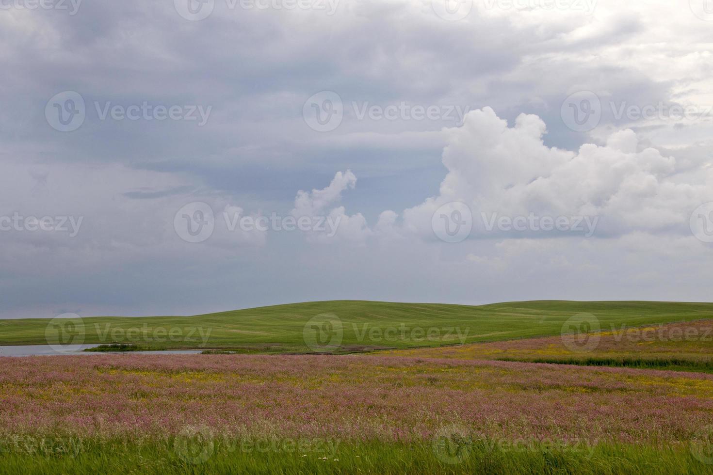 pradaria nuvens de tempestade Canadá foto