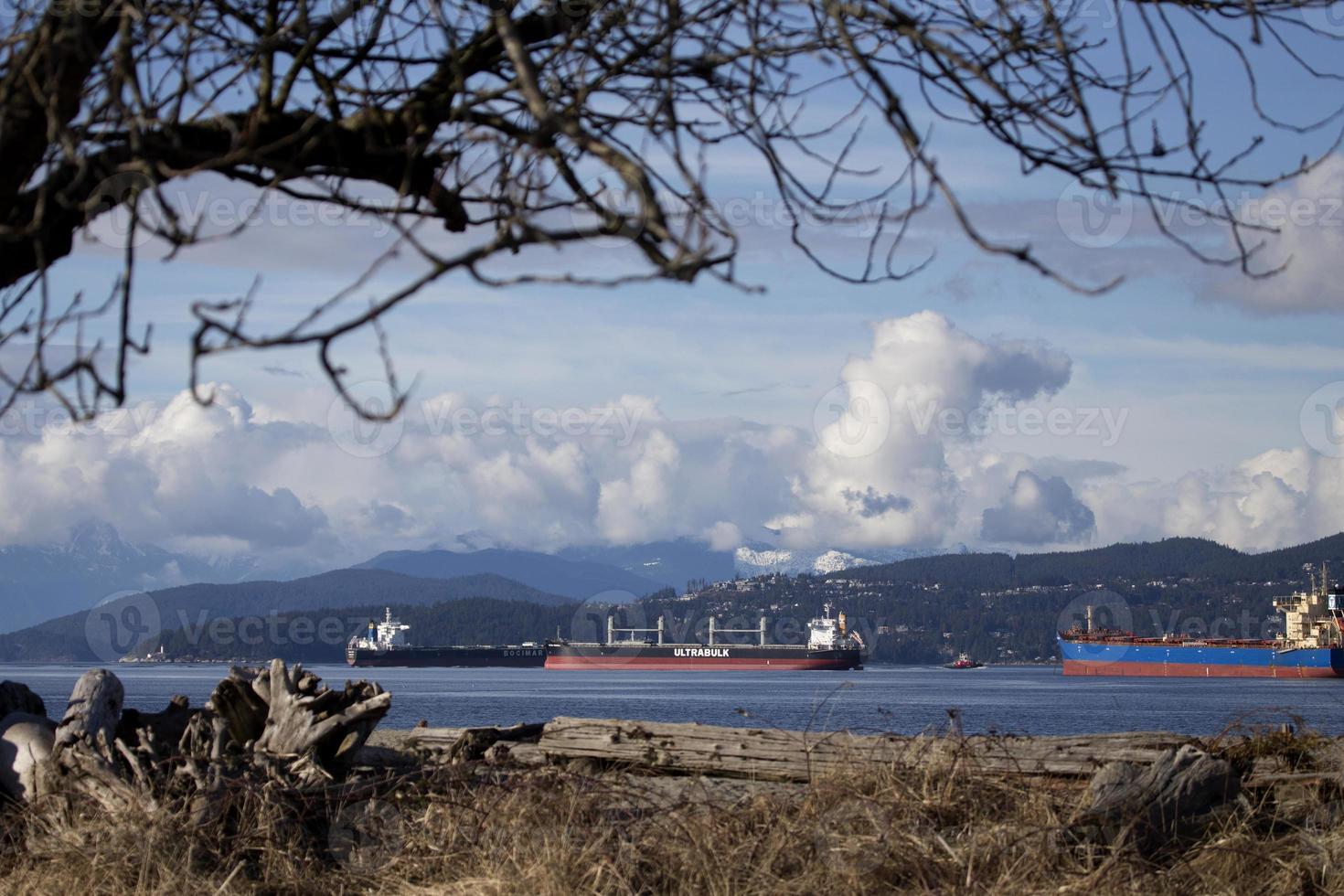 navios de carga baía inglesa foto