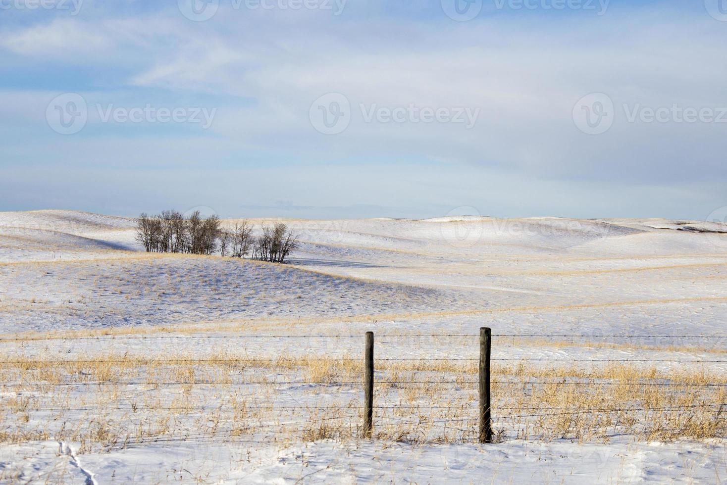 paisagem da pradaria no inverno foto
