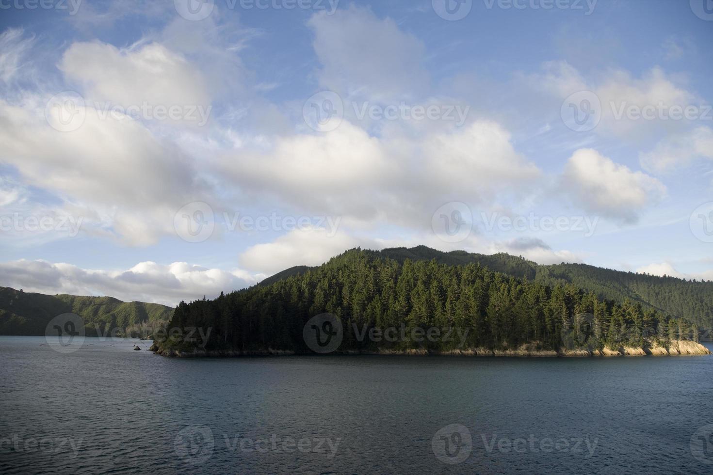 balsa vista picton nova zelândia foto