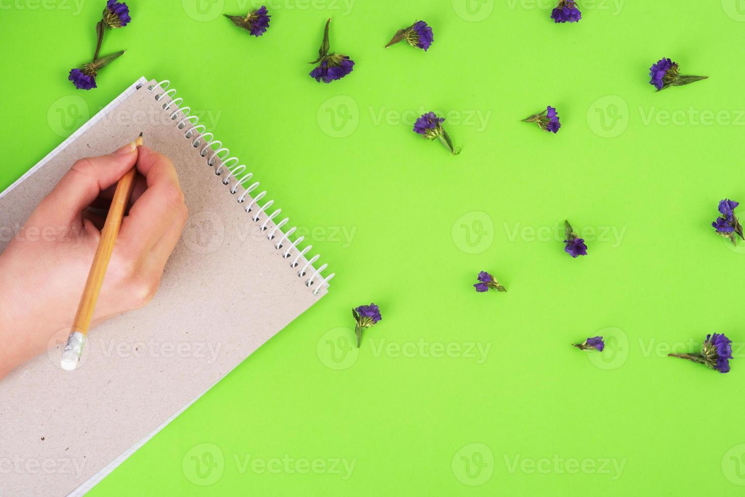 escrevendo no caderno com lápis sobre fundo verde com flores azuis. conceito de desperdício zero, conceito de negócios foto