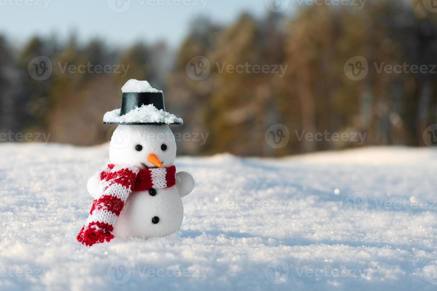 boneca de um boneco de neve fica em um monte de neve com floresta de pinheiros ao fundo na manhã ensolarada foto