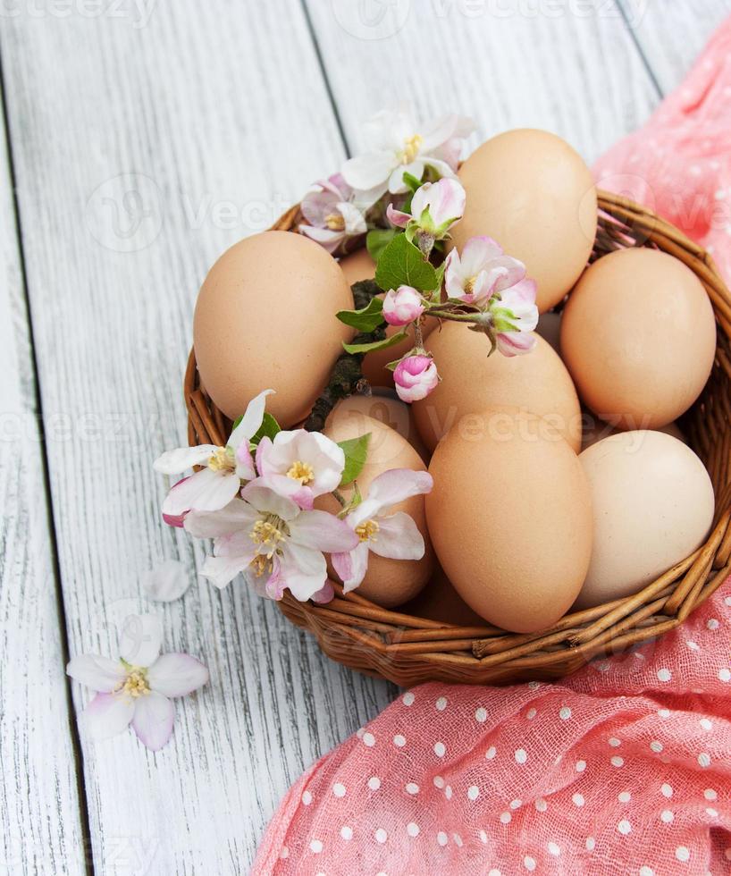 ovos de páscoa e flor de maçã foto