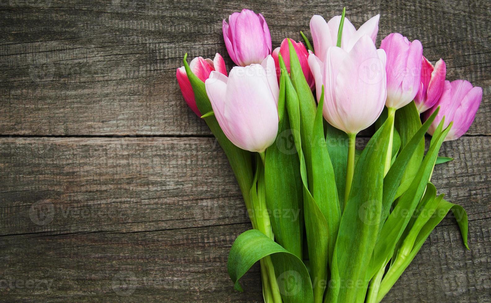 flores de tulipa da primavera foto