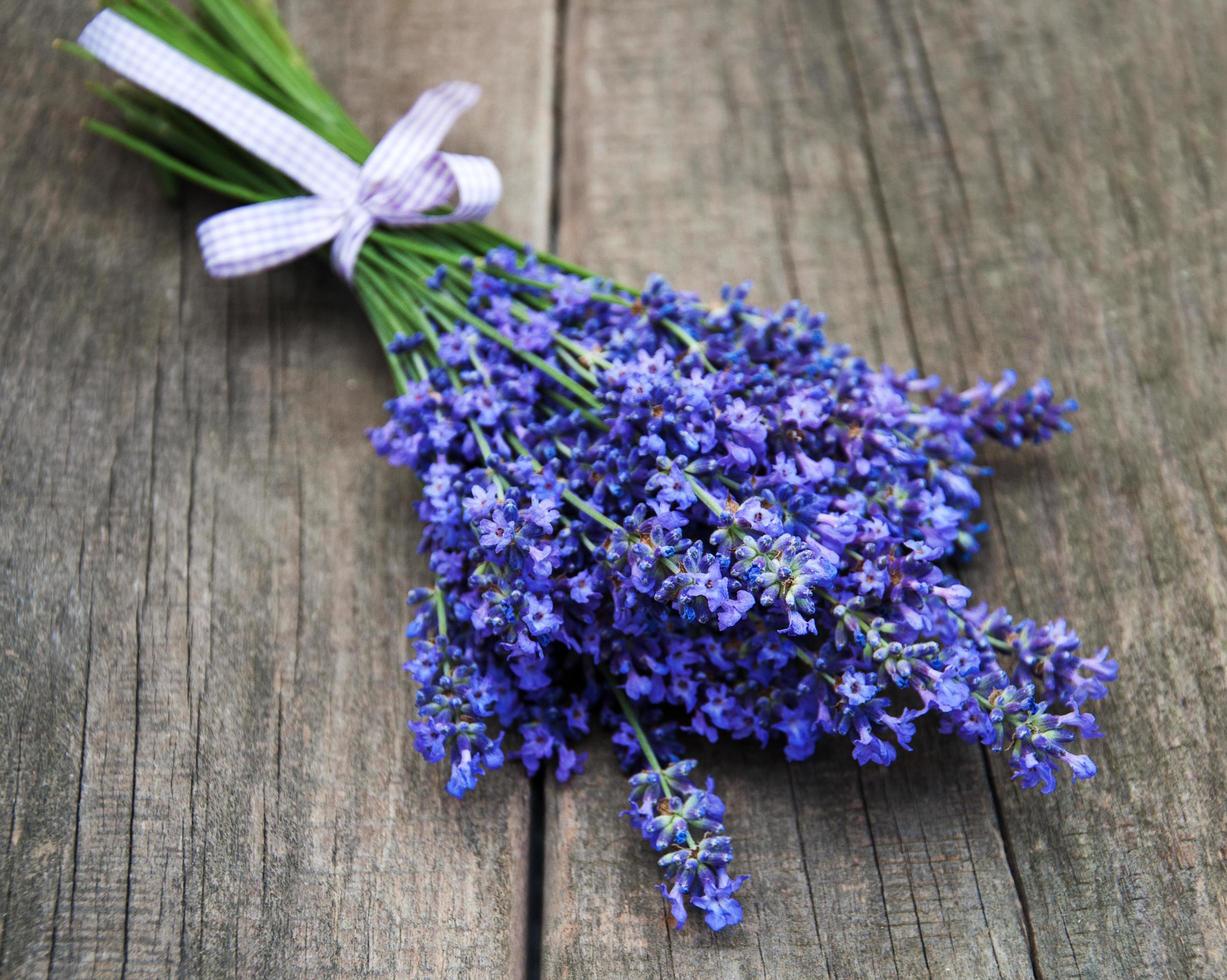 ramo de lavanda foto