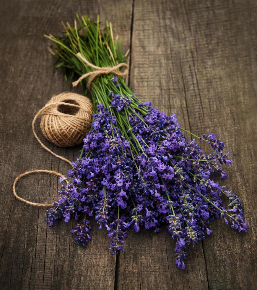 ramo de lavanda foto