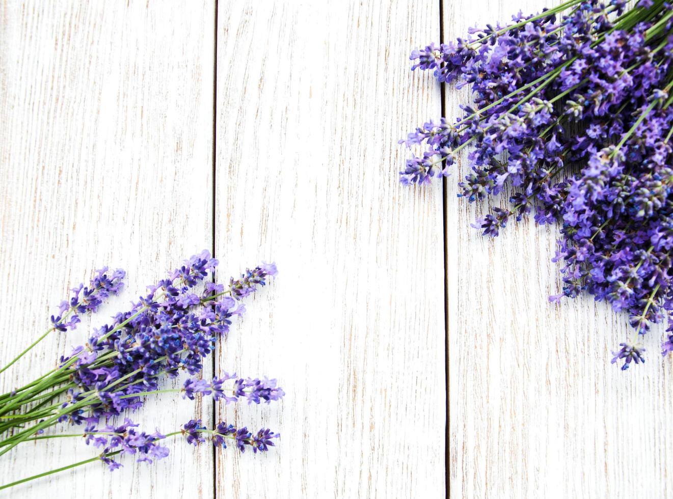 ramo de lavanda foto