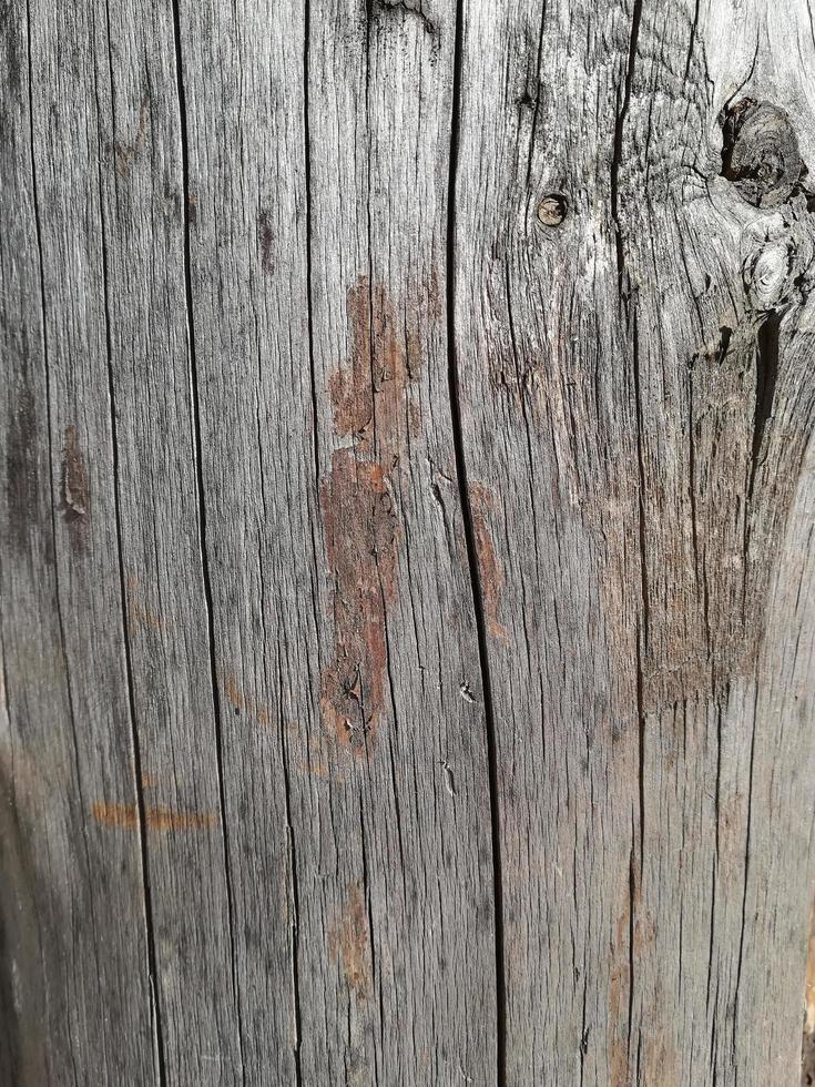 a textura da placa de madeira velha é cinza claro. fundo vertical foto