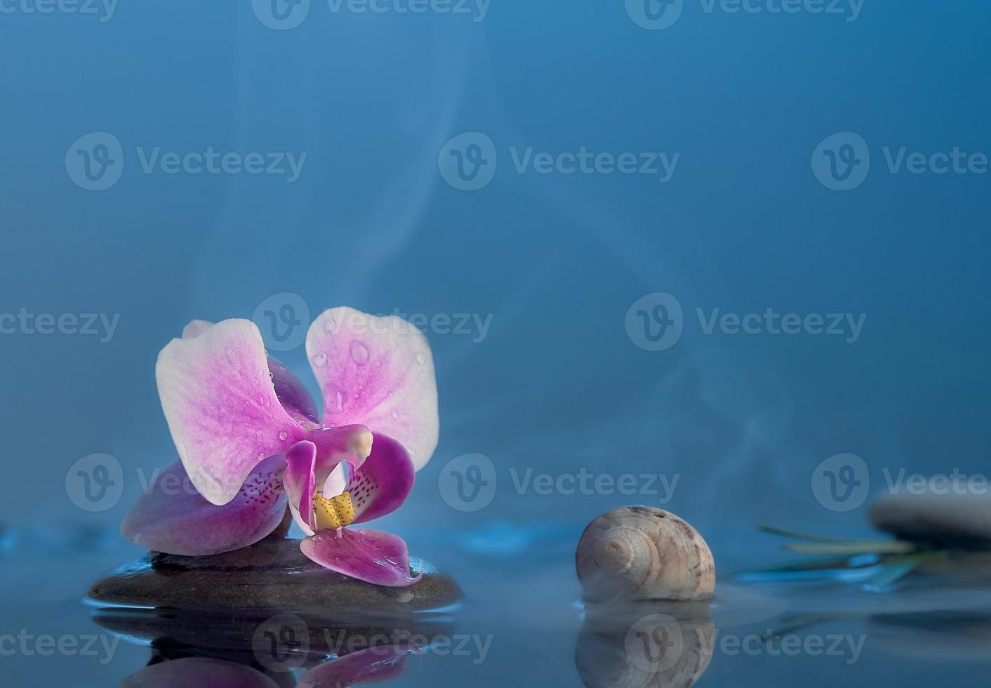 natureza morta com orquídea rosa. relaxantes pedras de orquídea rosa de fundo azul, conchas na água com neblina. conceito de spa. foto