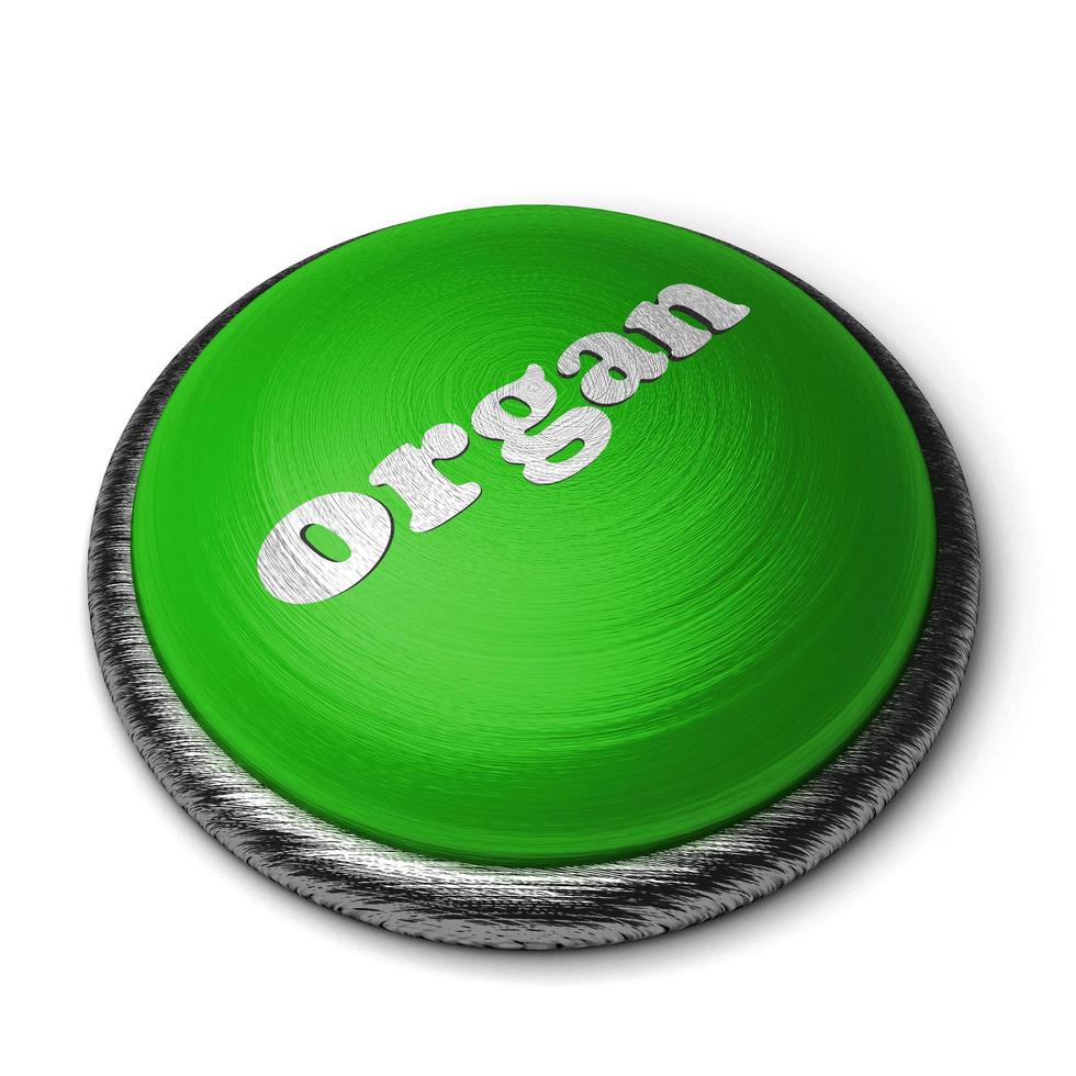 palavra de órgão no botão verde isolado no branco foto