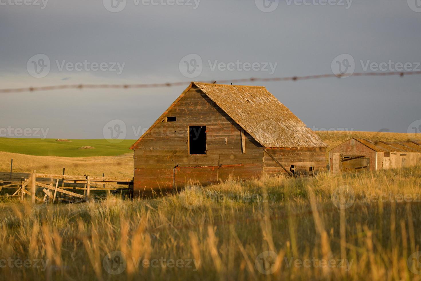 celeiro da pradaria saskatchewan foto