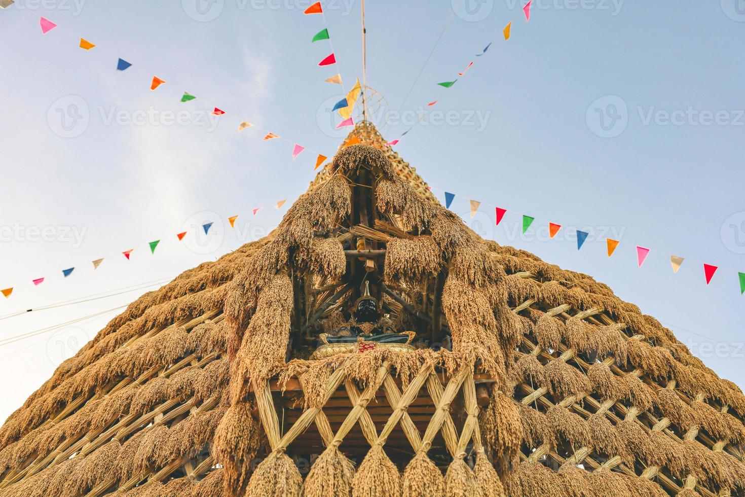 arrozal foi feito para pagode pelo fazendeiro foto