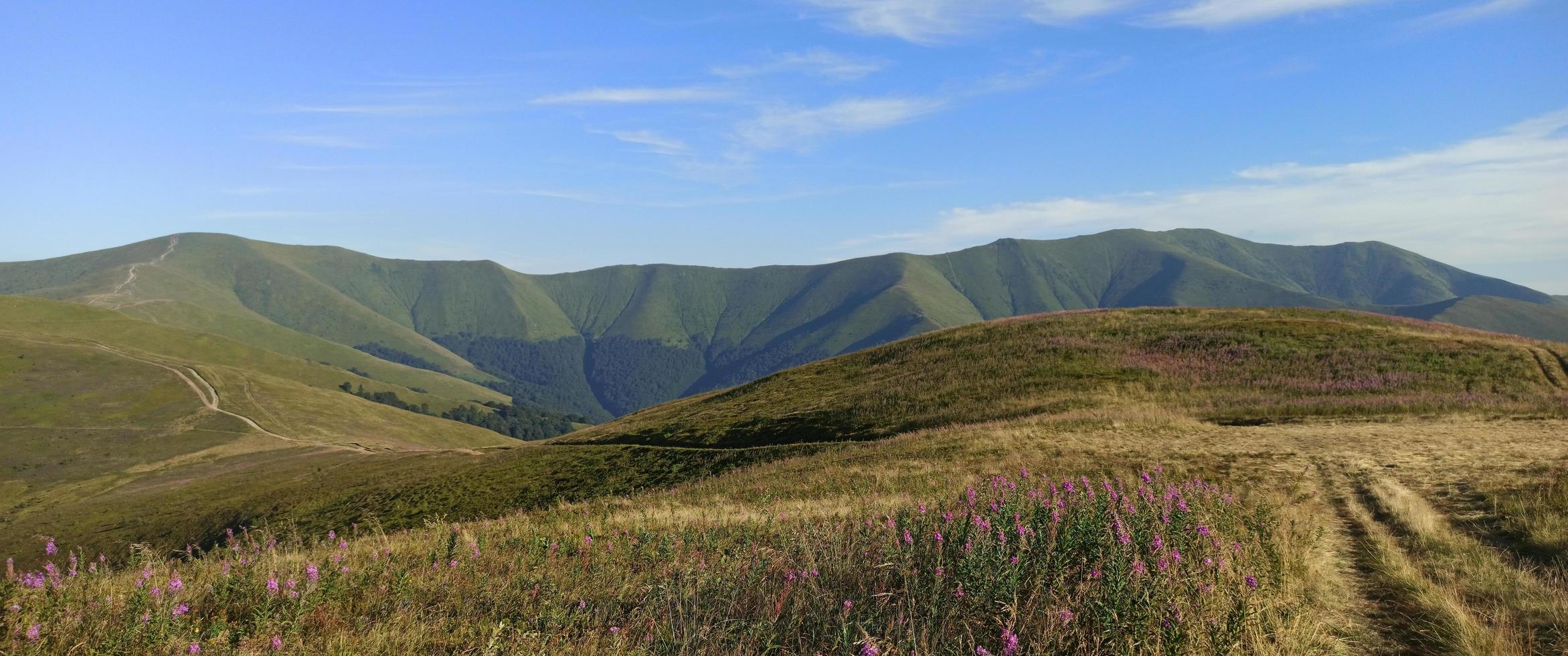 paisagem de montanha. paisagem colorida de verão nas montanhas dos cárpatos. capa de livro. foto