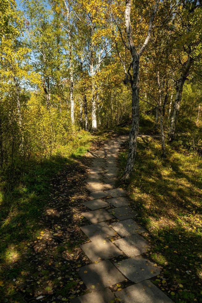 paisagem com um caminho de pedra no parque outono foto