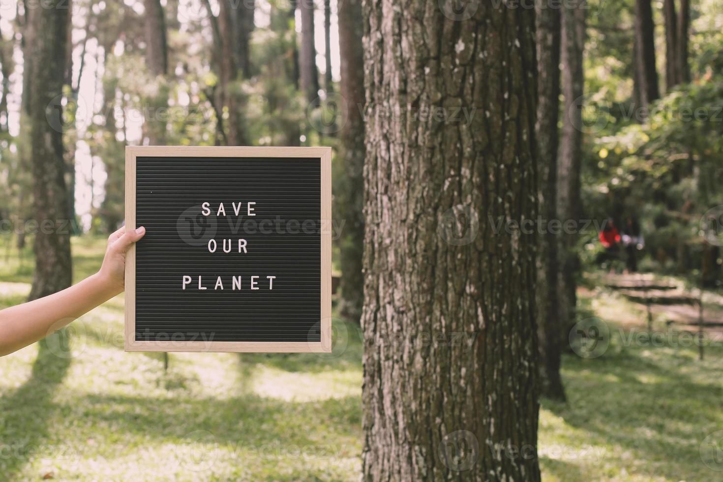 mão segurando um quadro de cartas que diz salve nosso planeta na floresta, conceito do dia da terra. foto