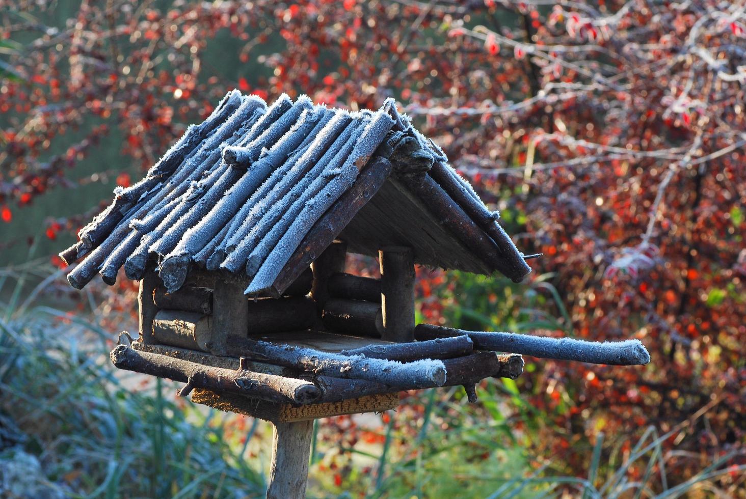 aviário congelado com comida para aves de inverno foto