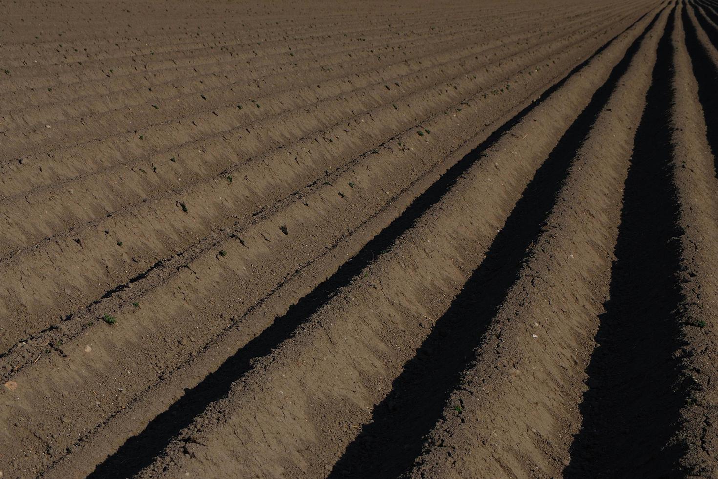 campo direito linhas direitas foto