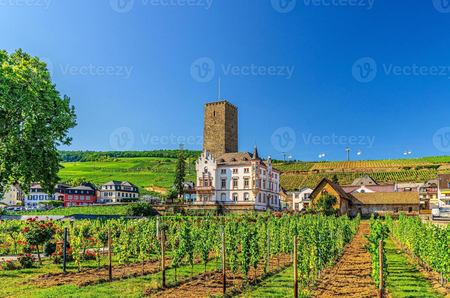 campo verde de vinhas com postes de madeira de videira e construção de torre de pedra em rudesheim am rhein foto