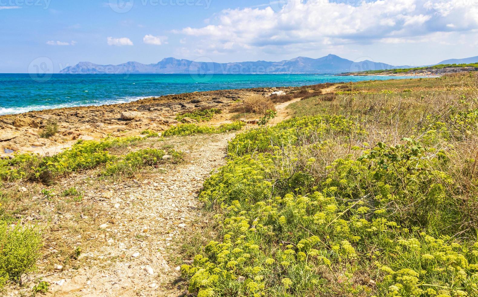 caminho através da costa paisagem panorama pode picafort mallorca espanha. foto