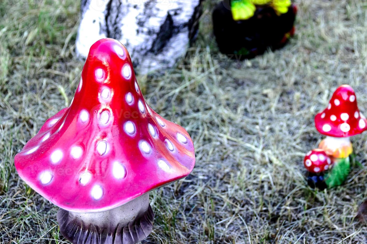 lindo grande amanita de cogumelo artificial no jardim foto