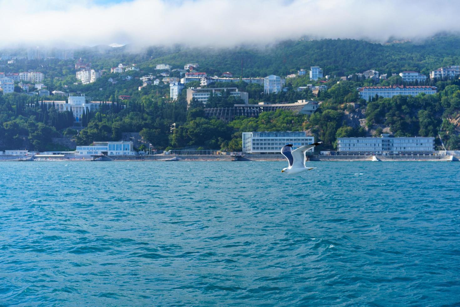 vista do mar com vista para o litoral de yalta, na Crimeia foto