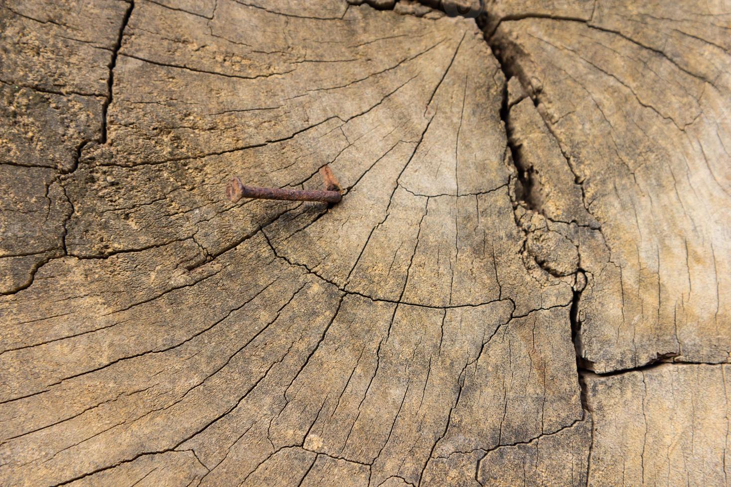 textura de madeira velha, vintage natural foto