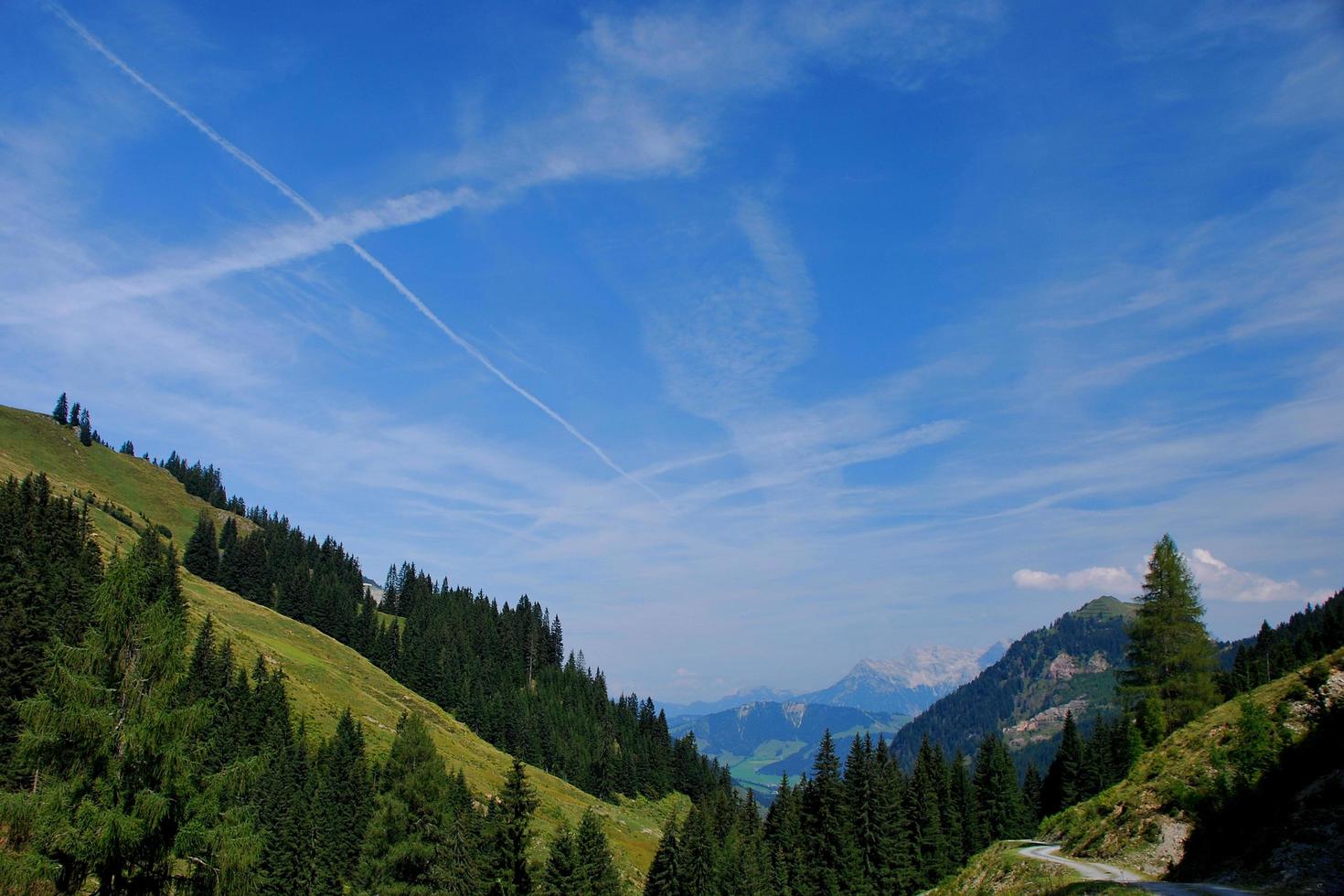 paisagem de montanha com árvores foto