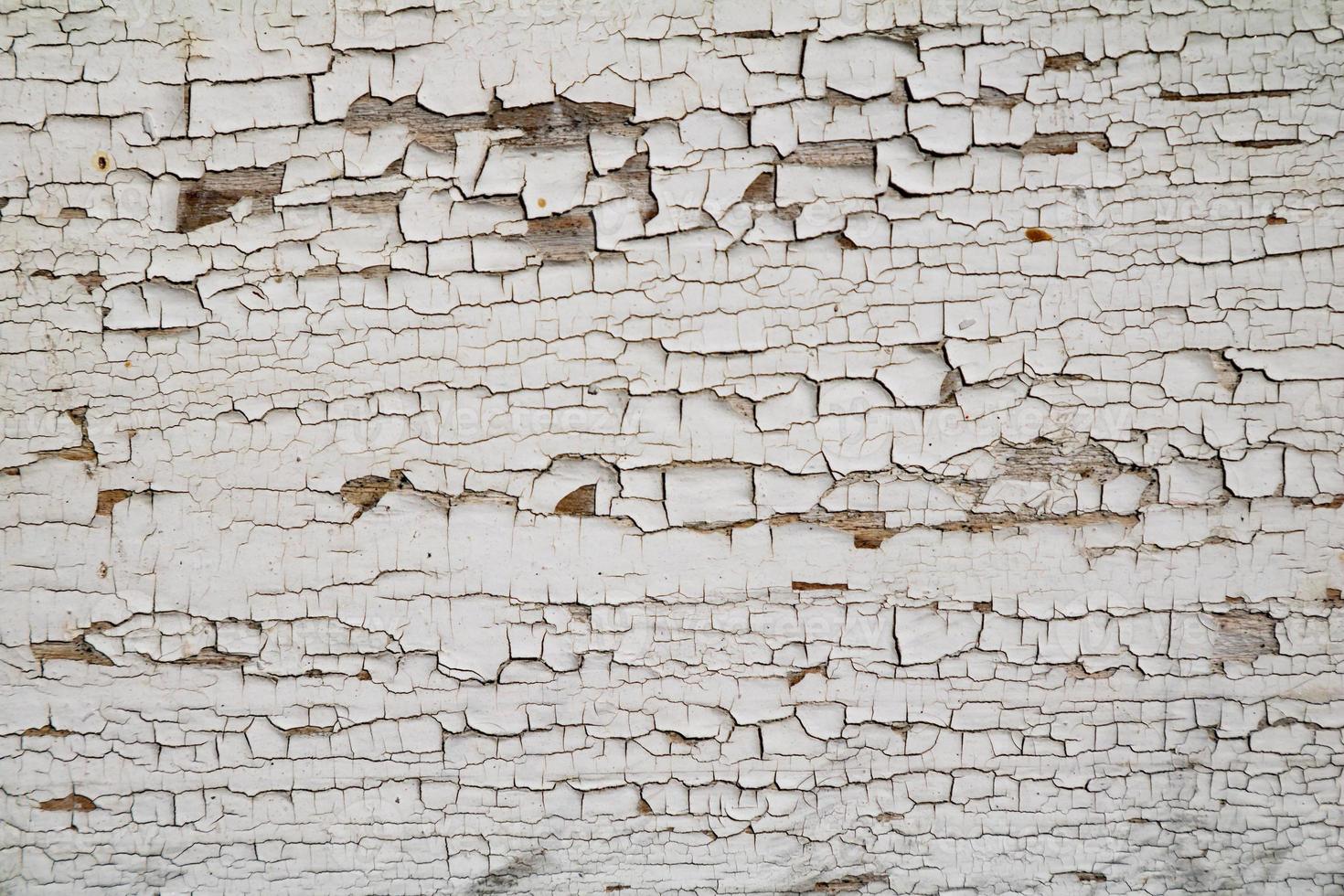 textura rachada branca. superfície danificada, envelhecida e desgastada. foto
