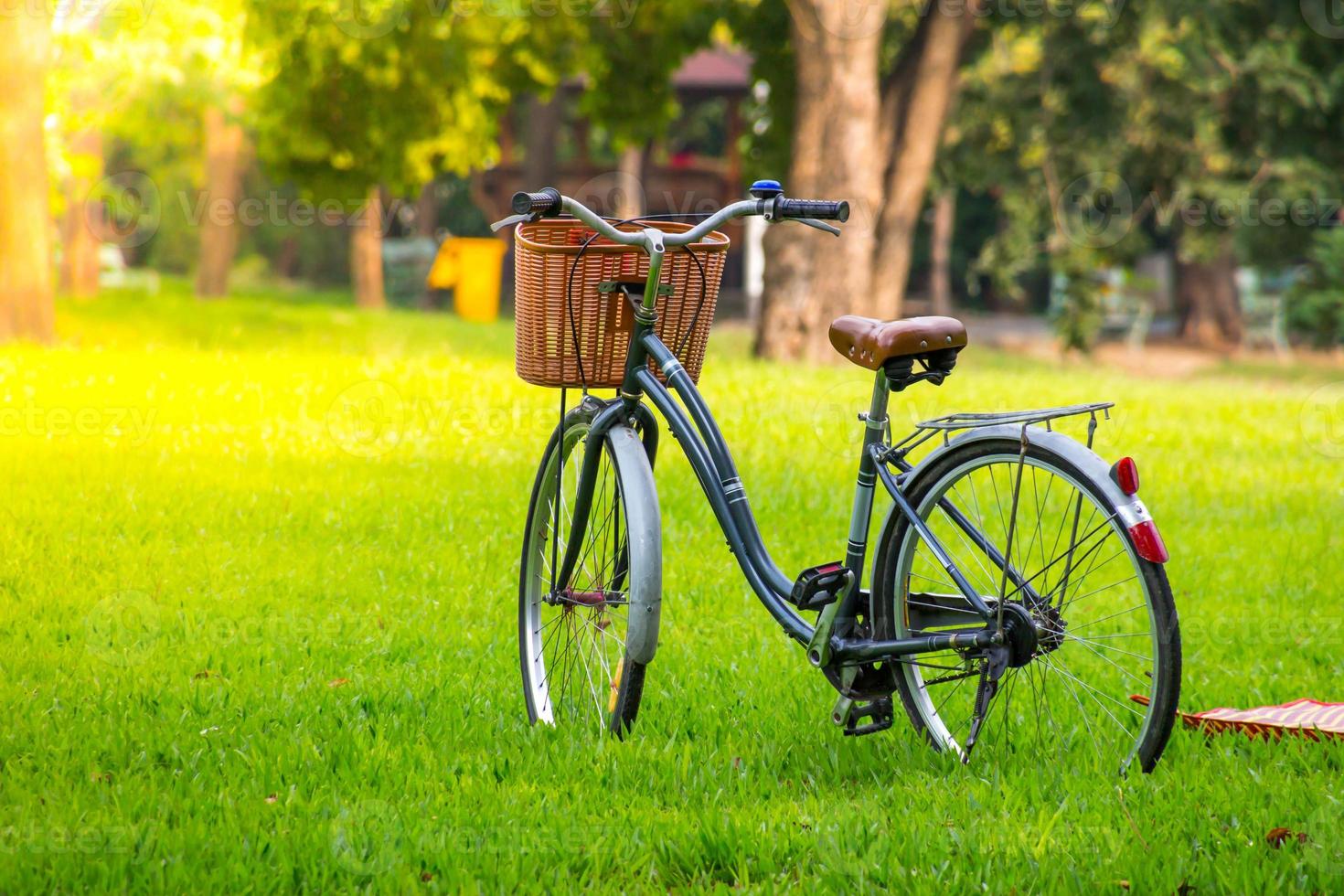 bicicleta vintage esperando na grama foto