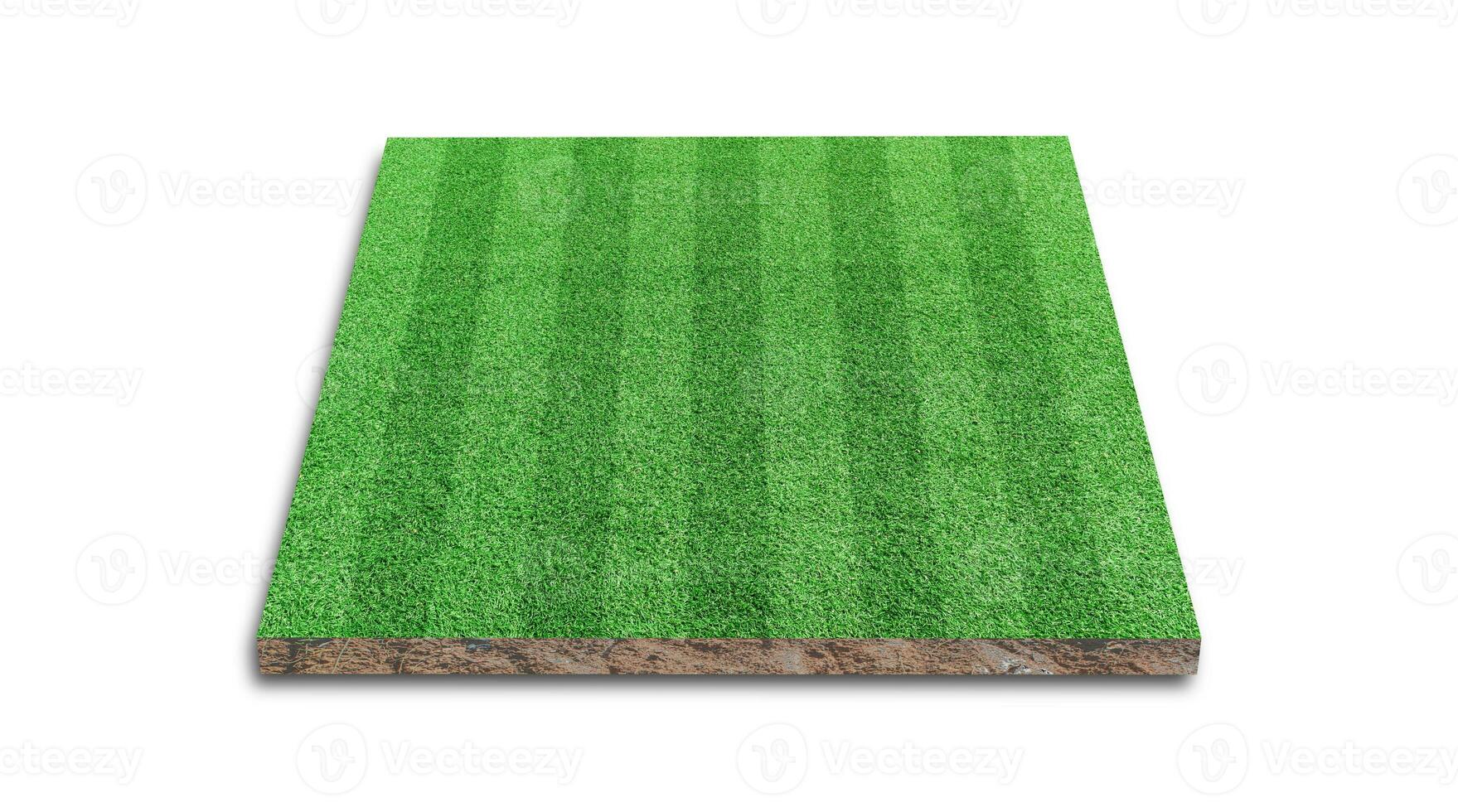 renderização 3D. faixa de campo de gramado de futebol, campo de futebol de grama verde, isolado no fundo branco. foto