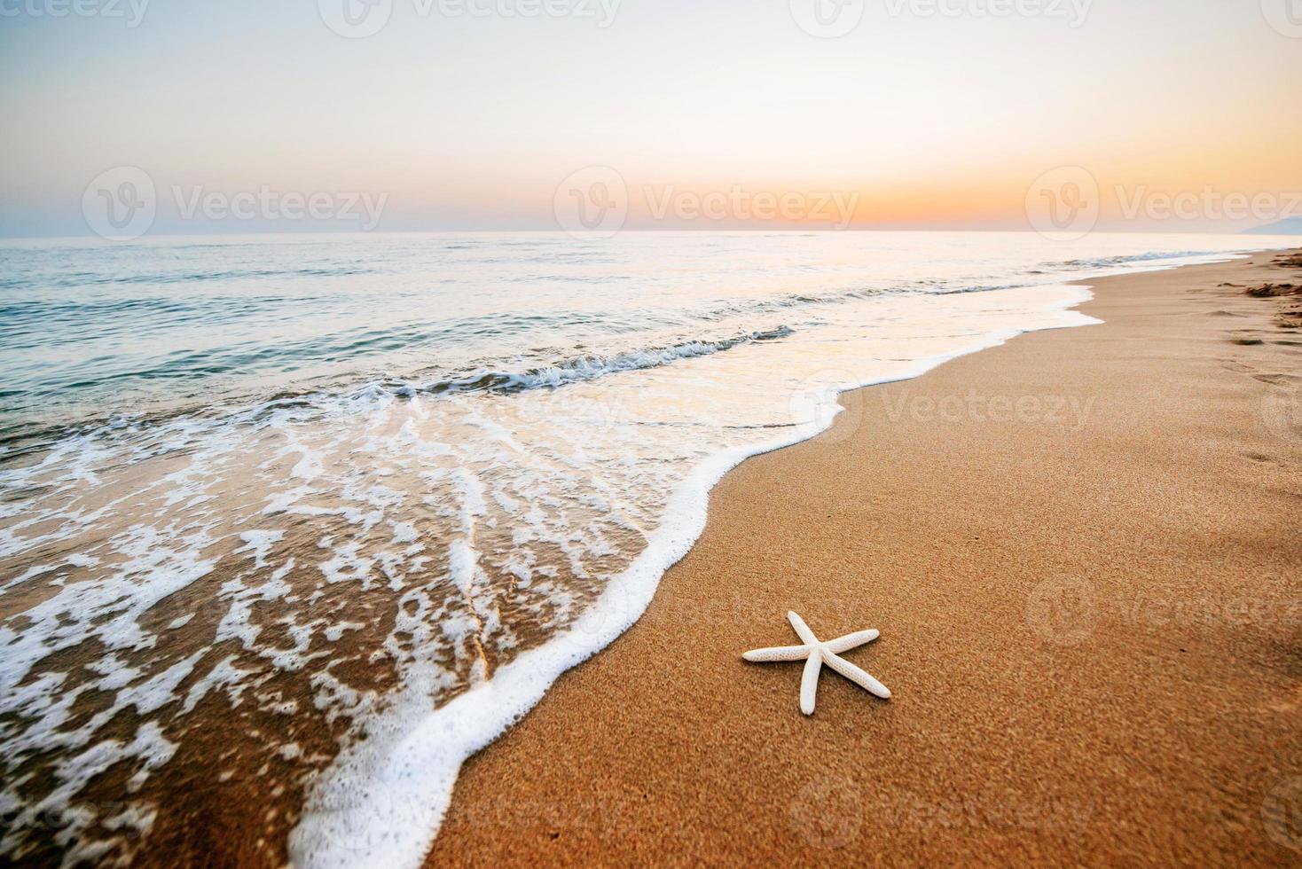 estrela do mar na praia. composição romântica foto