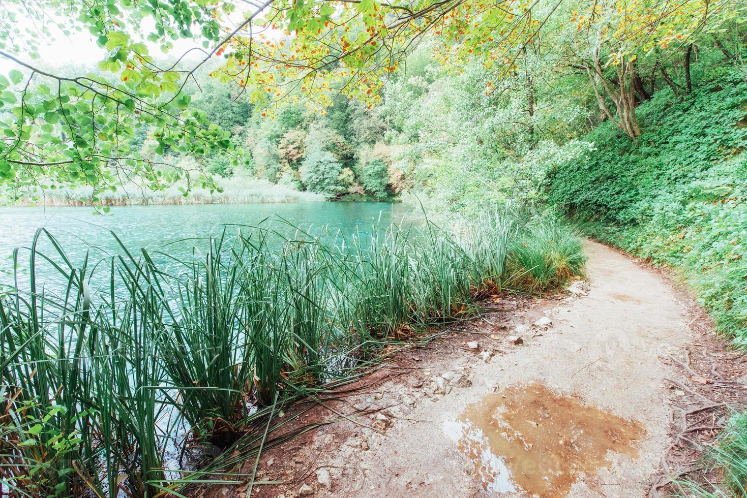 bela cachoeira na floresta verde de verão. foto