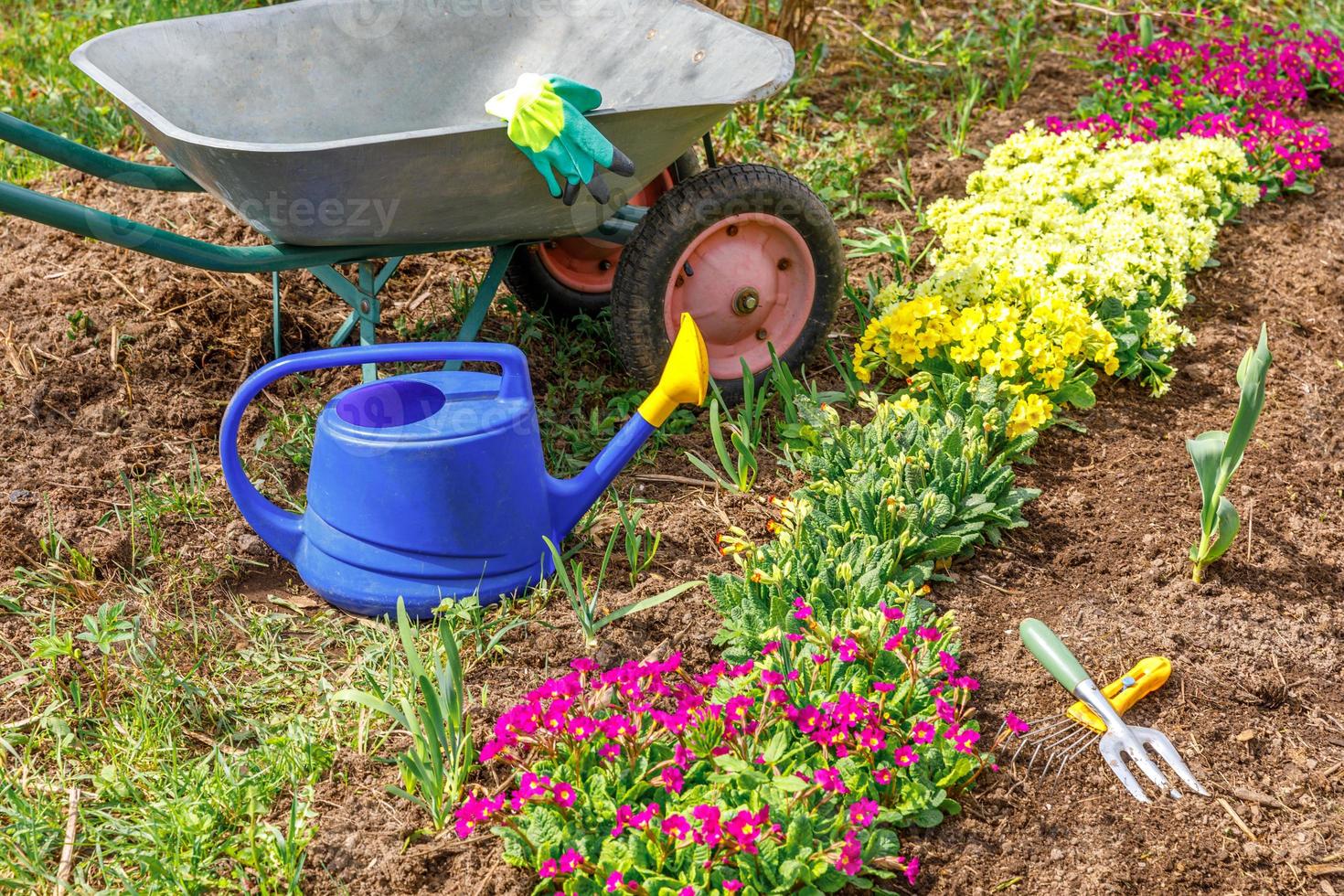 canteiro de flores e jardineiro equipamento carrinho de mão carrinho de jardim regador ancinho de jardim no jardim no dia de verão. ferramentas de trabalhador agrícola prontas para plantar mudas ou flores. conceito de jardinagem e agricultura foto