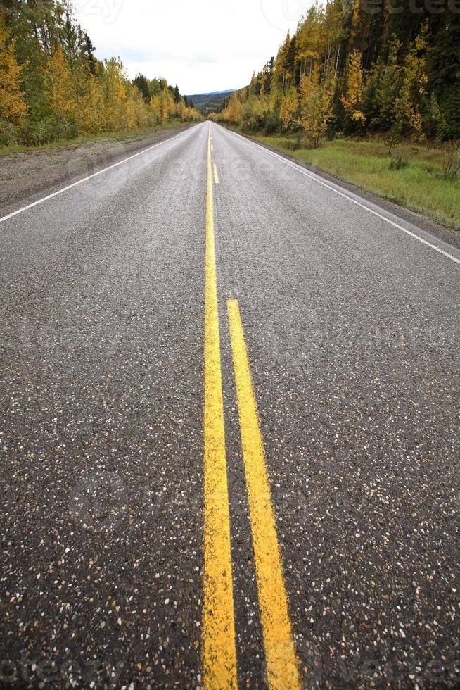 linhas centrais ao longo de uma estrada pavimentada no outono foto