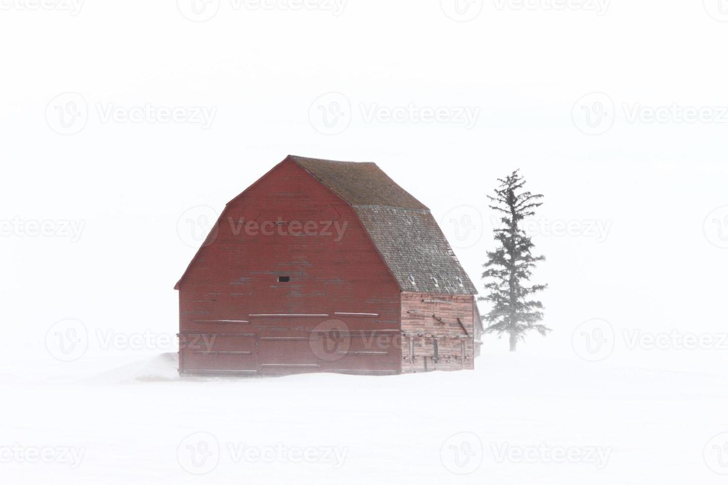 antigo celeiro no inverno saskatchewan foto